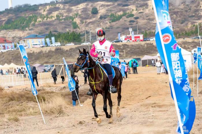 2023鄱阳湖马术耐力赛落幕 江西都昌成赛事新地标