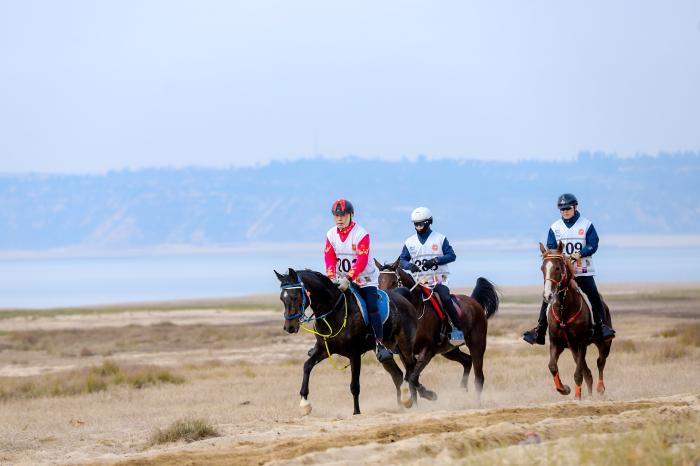 2023鄱阳湖马术耐力赛落幕 江西都昌成赛事新地标