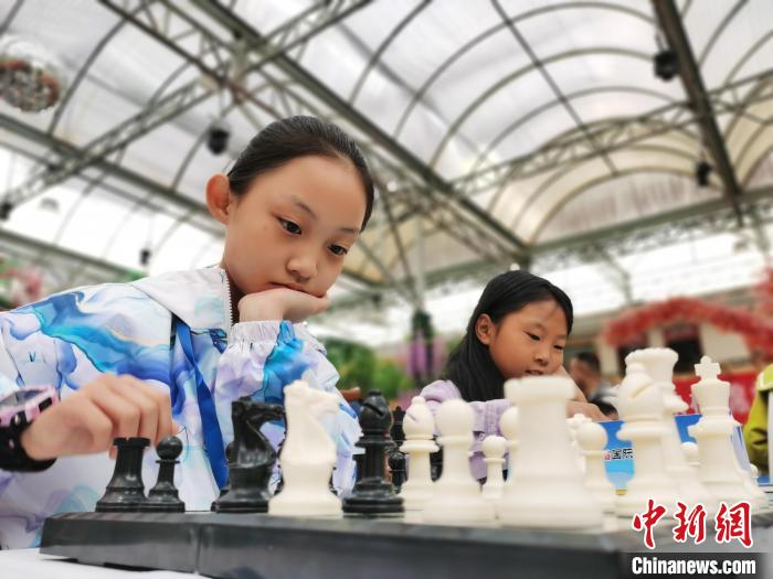 青海青少年棋类锦标赛开赛 三大项目角逐国家三